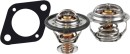 Tridon-Thermostats-Gaskets Sale