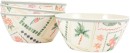 4-Pack-Tropical-Bowls Sale
