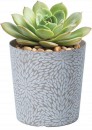 NEW-Gorgeous-Planter Sale
