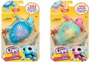 Little-Live-Pets-Assorted-Turtle-Single-Pack Sale