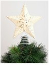 Myer-Giftorium-Eucalyptus-Star-Tree-Topper Sale