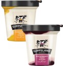 Gippsland-Dairy-Twist-Yogurt-160g Sale