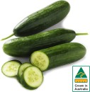 Australian-Lebanese-Cucumber Sale
