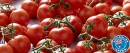 Australian-Truss-Tomatoes Sale