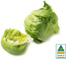 Australian-Iceberg-Lettuce Sale