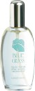 Elizabeth-Arden-Blue-Grass-100mL-EDP Sale