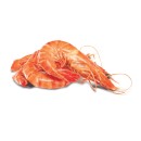 Thawed-Large-Australian-Cooked-Tiger-Prawns Sale