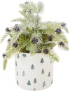 Christmas-Artificial-Frosted-Pine-in-Pot Sale