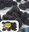 Australian-Blackberries-170g-Punnet Sale
