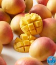Australian-R2E2-Mangoes Sale