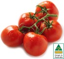 Australian-Truss-Tomatoes Sale