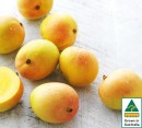 Australian-Mangoes Sale