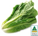 Australian-Cos-Lettuce-Twin-Pack Sale