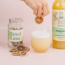 Dried-Lime-Cocktail-Garnish-by-Mr-Consistent Sale
