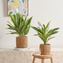 Artificial-Mini-Peace-Lily-Plant-by-MUSE Sale