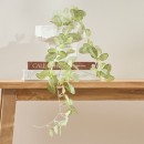 Hanging-Vine-Plant-Leaves Sale