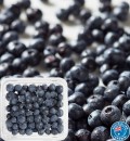 Australian-Blueberries-170g-Punnet Sale