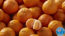 Australian-Gold-Nugget-Mandarins Sale