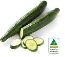 Australian-Continental-Cucumber Sale