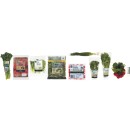 Woolworths-Broccolini-Bunch-Truss-Tomatoes-500g-Pack-Cos-Lettuce-Hearts-Pk-2-Mixed-Leaf-Salad-200g-Pack-Whole-Fresh-Beetroot-250g-Pack-Spring-Onion-Bunch-Radish-Bunch-Fresh-Coriander-Bunch-or-Fresh-Basil-Bunch Sale