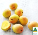 Australian-Mangoes Sale