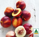 Australian-Yellow-or-White-Nectarines Sale