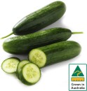Australian-Lebanese-Cucumber Sale