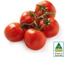 Australian-Truss-Tomatoes Sale