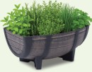 Planters-Half-Barrel-41cm Sale