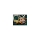 Gold-Davidson-Plum-Hellfire-Bluff-Gin-Tarts-Pk-6 Sale