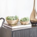 Greyson-Potted-Artificial-Succulent-by-MUSE Sale
