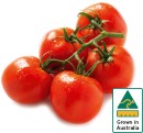 Australian-Truss-Tomatoes Sale