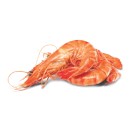 Thawed-Large-Australian-Cooked-Tiger-Prawns Sale