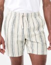 Textured-Striped-Shorts Sale