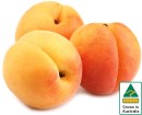 Australian-Apricots Sale