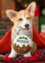 Personalised-Christmas-Squeaky-Dog-Toy Sale