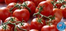 Australian-Truss-Tomatoes Sale