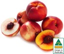 Australian-Yellow-or-White-Nectarines Sale