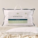 Hypoallergenic-Microfibre-JuniorSoft-Pillow-by-Greenfirst Sale