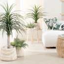 Levi-Wooden-Decorative-Pot-by-MUSE Sale