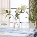 Lola-Large-Clear-Glass-Vase-by-Habitat Sale