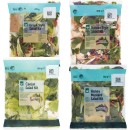Woolworths-Caesar-Salad-Kit-290g-Greek-Style-Salad-Kit-270g-Honey-Mustard-Salad-Kit-285g-or-Korean-Style-Salad-Kit-400g-Pack Sale