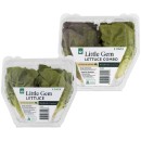 Australian-Gem-Lettuce-or-Combo-Gem-Lettuce-Pk-2 Sale