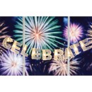 Celebrate-String-Lights Sale