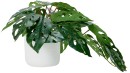 Artificial-Monstera-Plant Sale