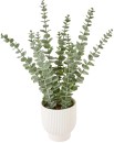 Artificial-Eucalyptus-in-Pot Sale