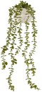 Artificial-Trailing-Plant-in-Pot Sale