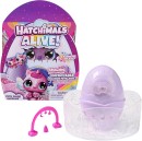 Hatchimals-Alive-Fizzy-Colour-Surprise Sale