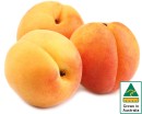 Australian-Apricots Sale