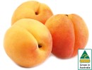 Australian-Apricots Sale